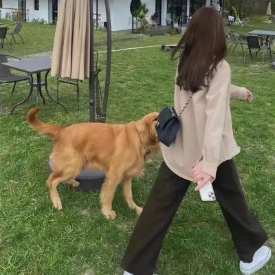 无聊诗社第二季
